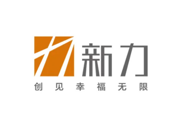 新力控股